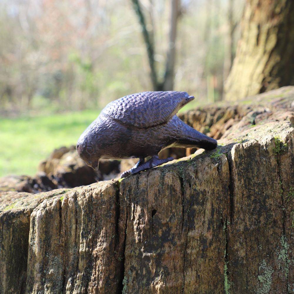 Pigeon en fonte marron 19 x 8 x 9 cm Chemin de campagne - Imagen 3