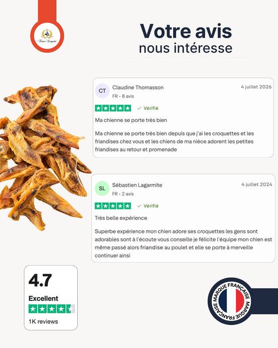 France Croquettes - France Croquettes Friandise pour chien Ailes de poulet séchées - 500 g - Image 6