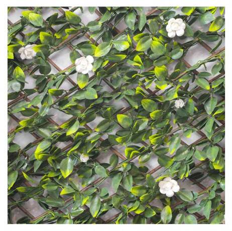 James Grass - France Green - Treillis extensible feuilles de jasmin fleuri, Long 18 m, Hauteur 1 m - Imagen 6
