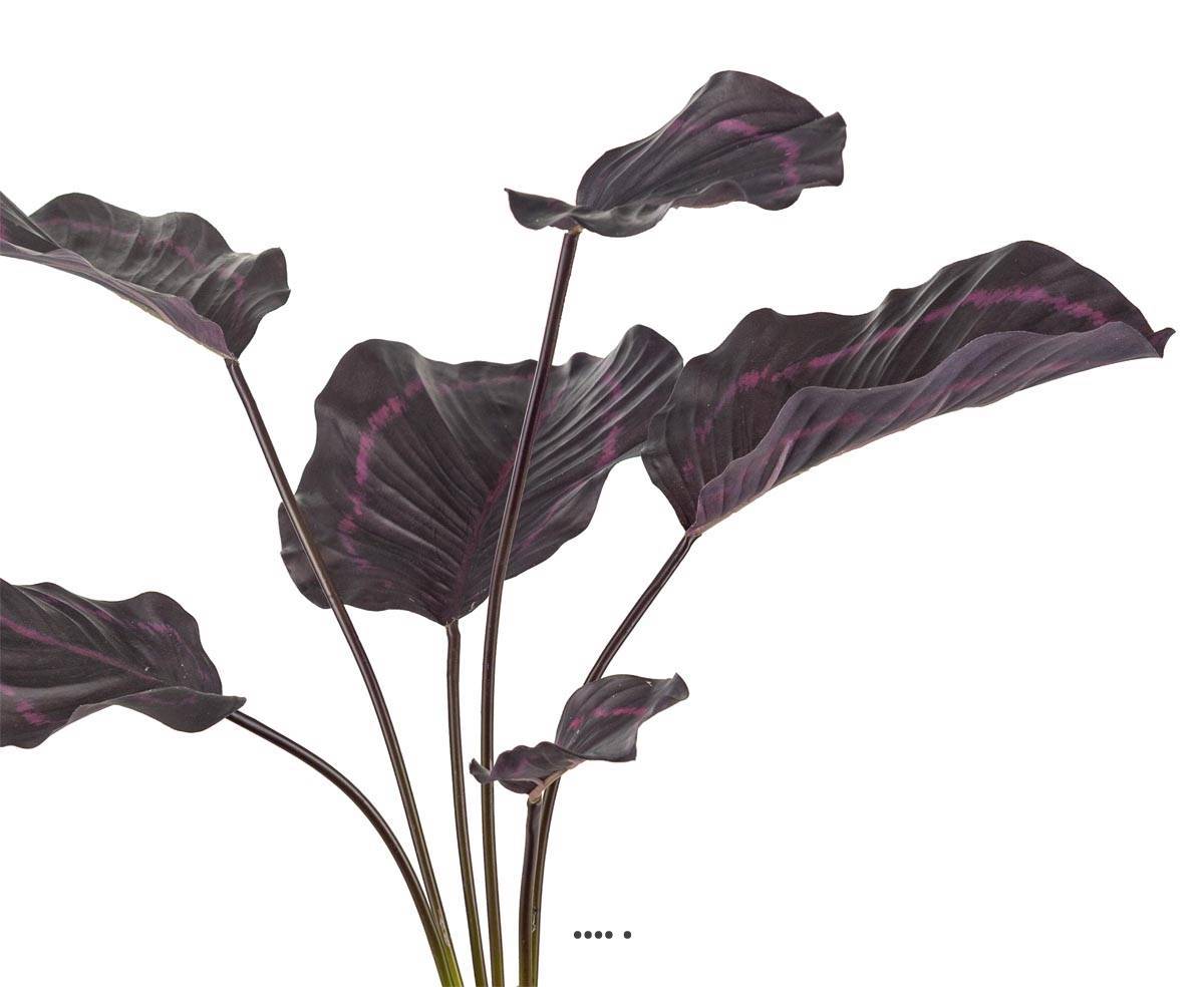Artificielles - Calathea artificielle en pot, grandes feuilles, H 55 cm Pourpre-rose - couleur: Pourpre-rose 331 - Imagen 3