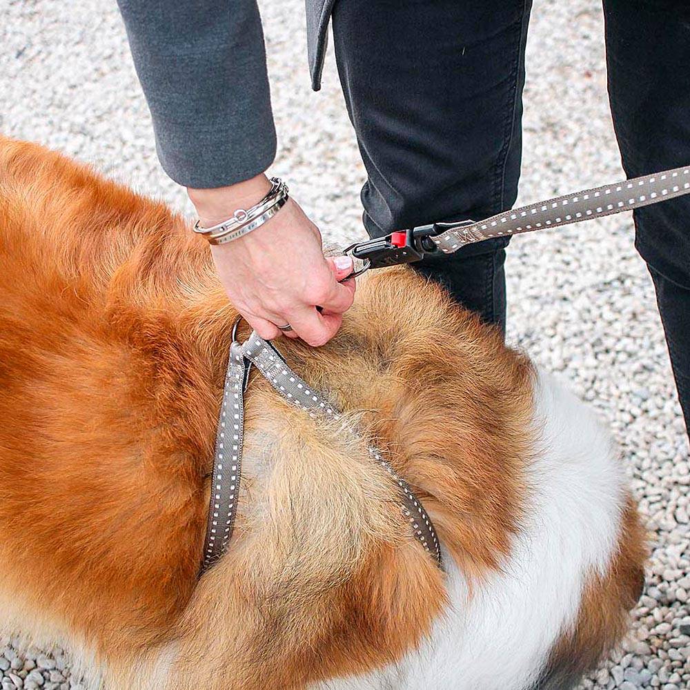 Ferplast - Harnais pour Chiens CRICKET EXTRA LARGE, Résistant, Rembourré et Réglable - Imagen 6