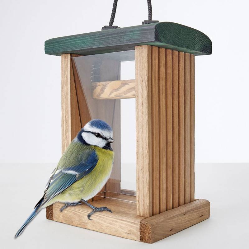 Mangeoire oiseaux extérieur à suspendre pour oiseaux sauvages pour jardin balcon Distributeur de graines 329 - Image 1