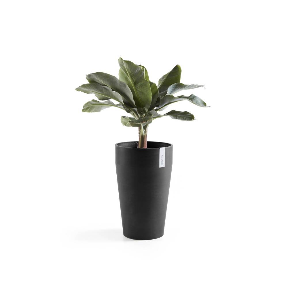Ecopots - Pot Haut Sankara 55 Gris Foncé - Ø 35 x H. 55 cm - 36 L ECOPOTS - Imagen 2