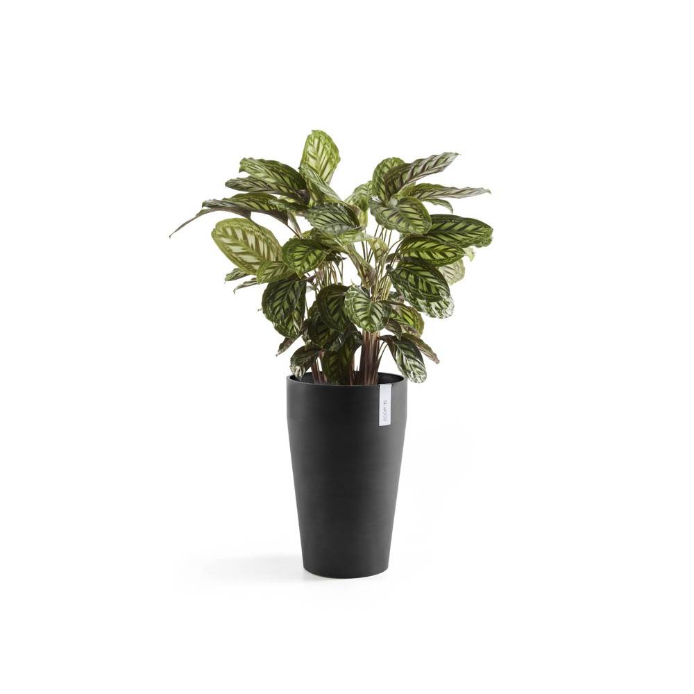 Ecopots - Pot Haut Sankara 55 Gris Foncé - Ø 35 x H. 55 cm - 36 L ECOPOTS - Imagen 3