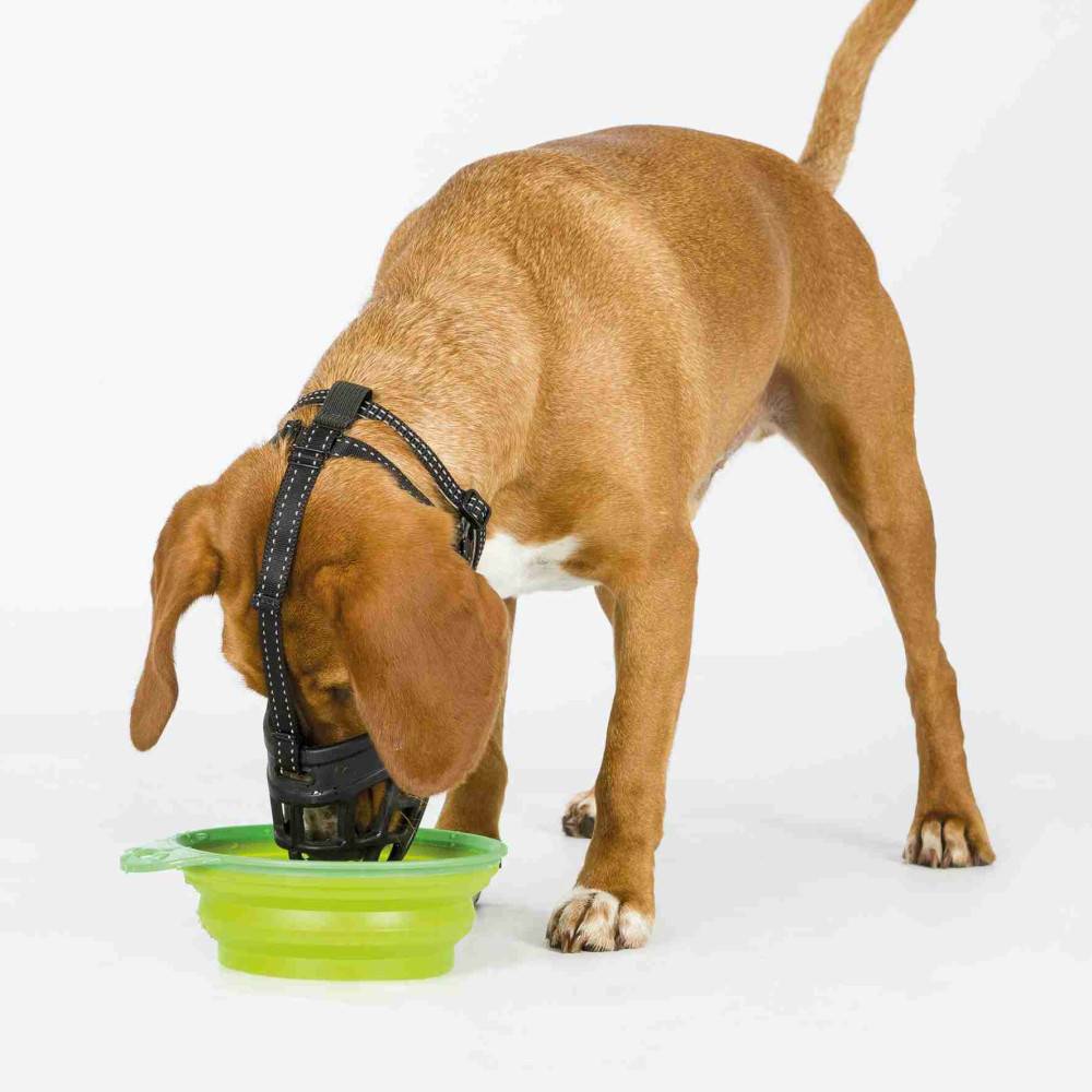 Trixie - Trixie - Muselière Muzzle Flex, en silicone Taille: S pour chien type Jack Russell Terrier. - Imagen 3