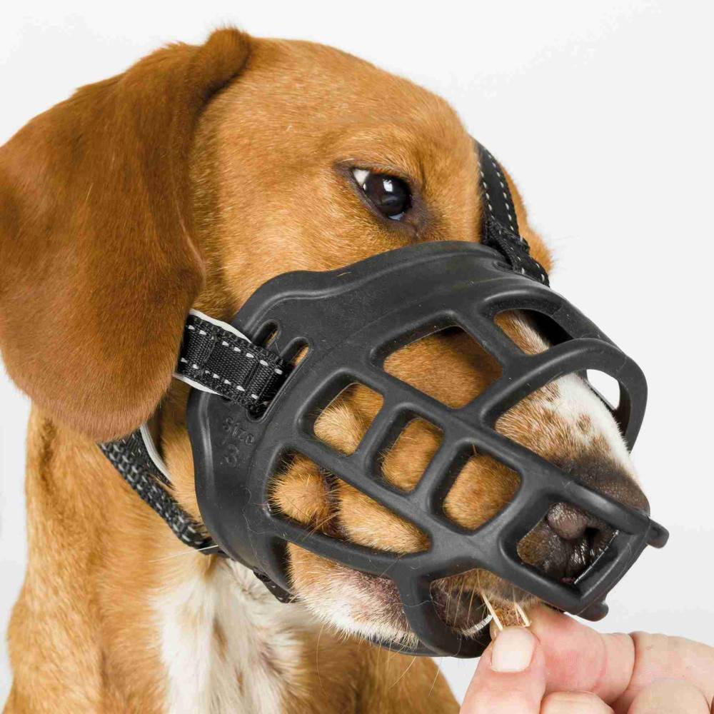 Trixie - Trixie - Muselière Muzzle Flex, en silicone Taille: S pour chien type Jack Russell Terrier. - Imagen 5