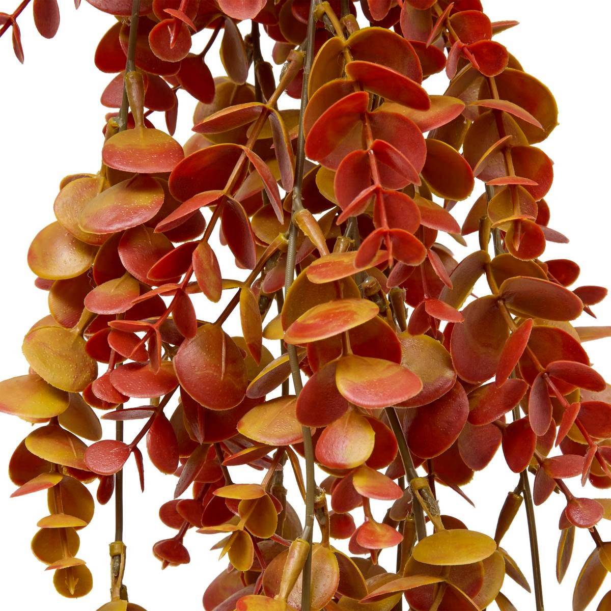 Eucalyptus Artificiel Tombant "James" 80cm Orange - Image 2