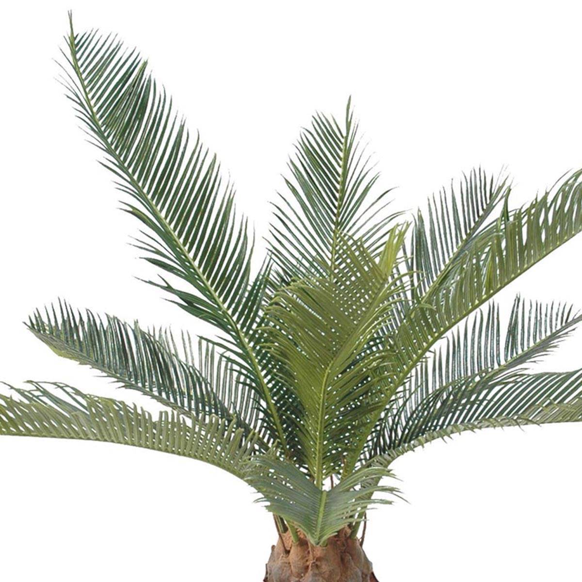 Artificielles - Palmier Cycas Artificiel en pot H 50 cm Vert - dimhaut: H 50 cm - couleur: Vert - Imagen 2