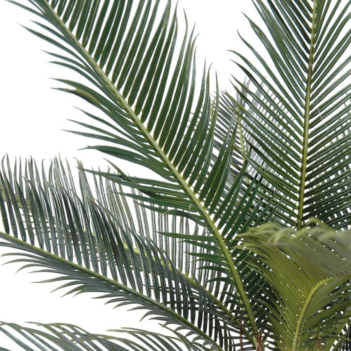 Artificielles - Palmier Cycas Artificiel en pot H 50 cm Vert - dimhaut: H 50 cm - couleur: Vert - Imagen 3