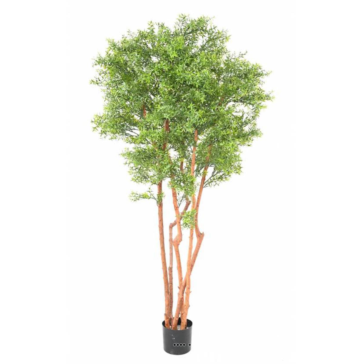 Artificielles - Eucalyptus artificiel en pot extérieur multri-troncs H 180 cm Vert - dimhaut: H 180 cm - couleur: Vert
