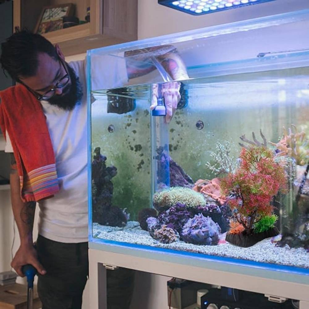 Plantes artificielles pour aquarium DtopbuyAge - Image 3