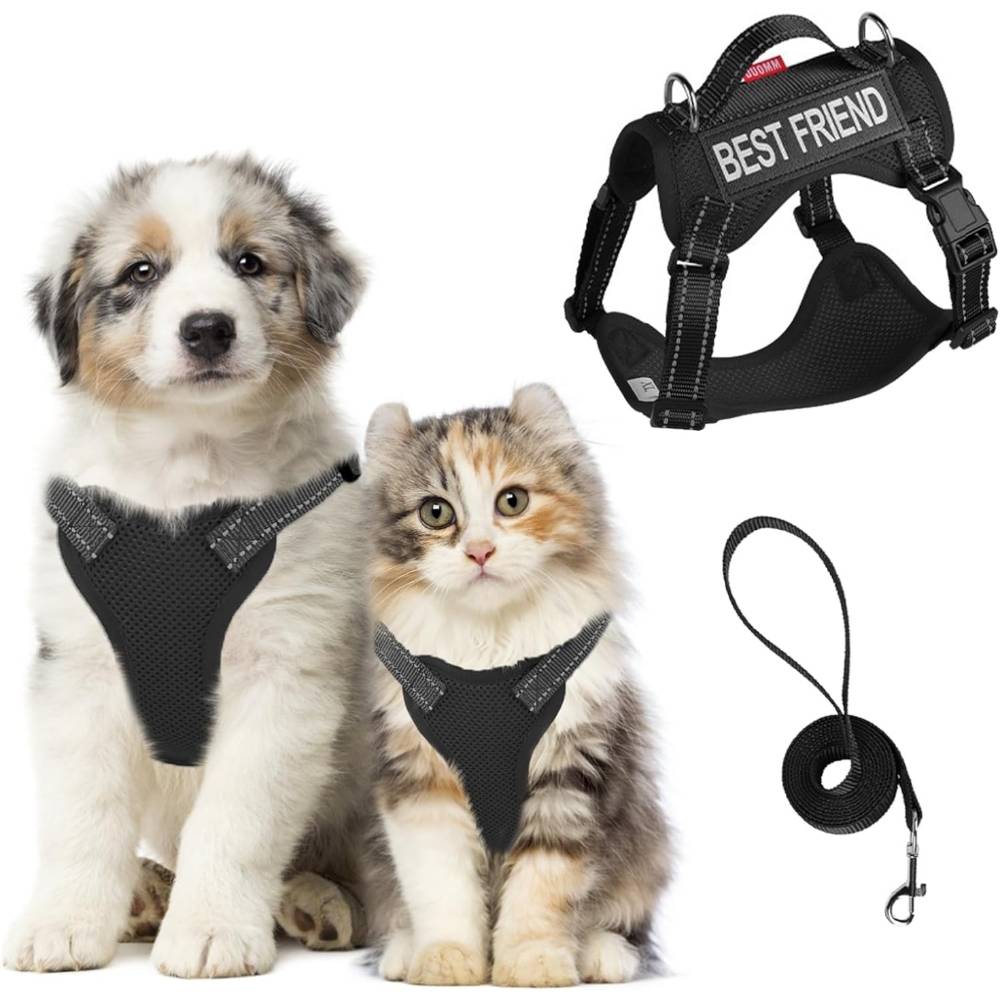 Harnois de promenade pour chat l - IntiMeg - Image 1