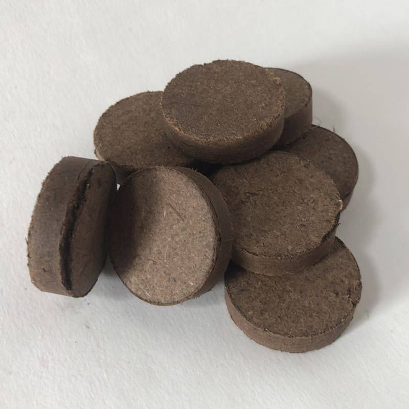Autre - Lot de 10 pastilles de tourbe 3,3 cm X 0,8 cm - Prêt à Jardiner