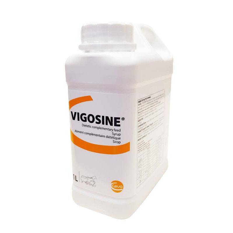 Complément vitalité - Vigosine 5 l