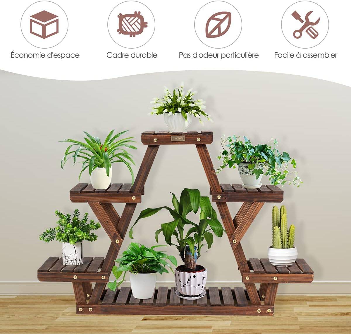 monstera thai constellation vs variegata Monstera deliciosa 'Thai Constellation' – Rare Variegated Houseplant –  Plant Studio main image 0