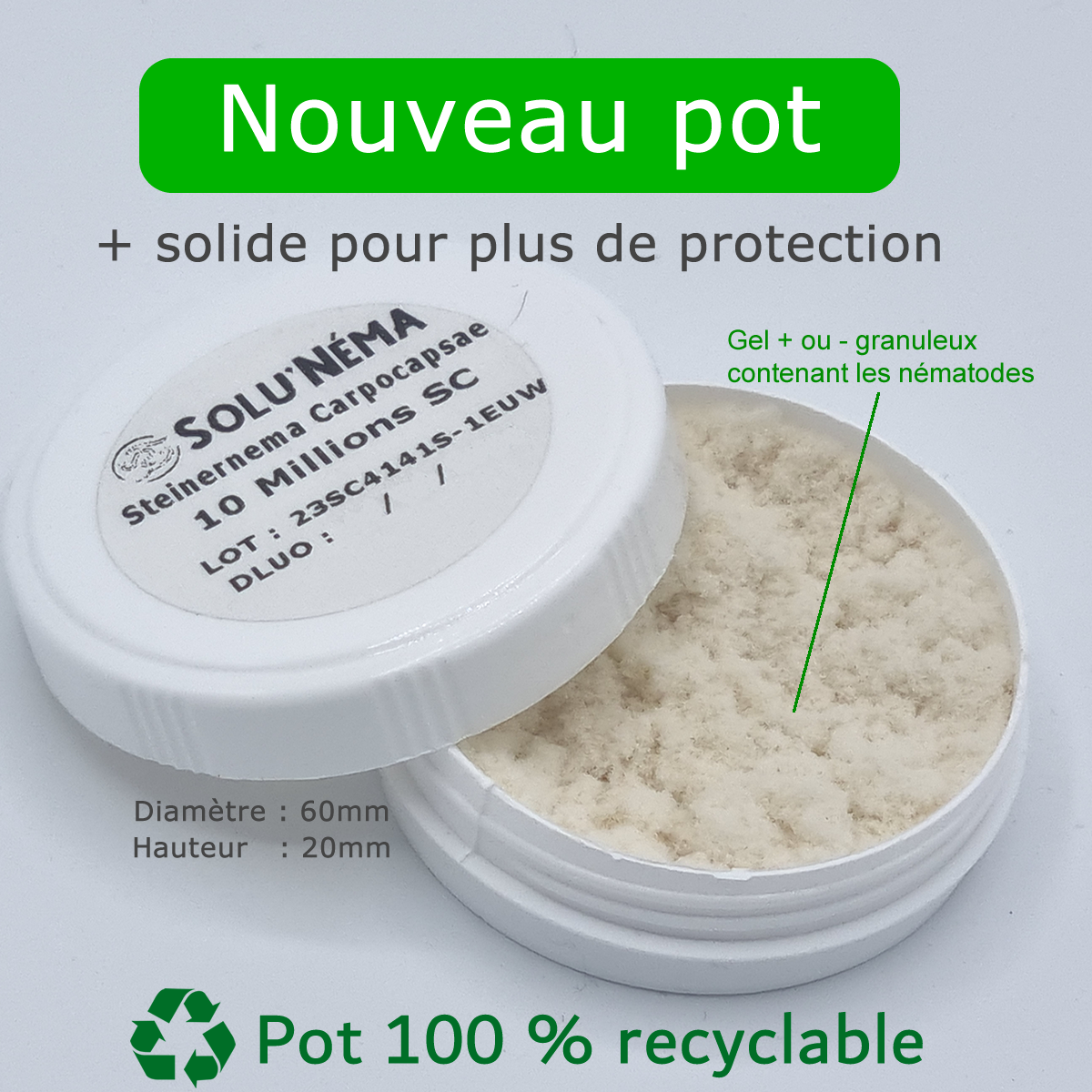 Solunéma - Traitement pour Palmiers à base de nématodes Steinernema Carpocapsae (SC) - 10 millions - 1 Palmier - Image 2