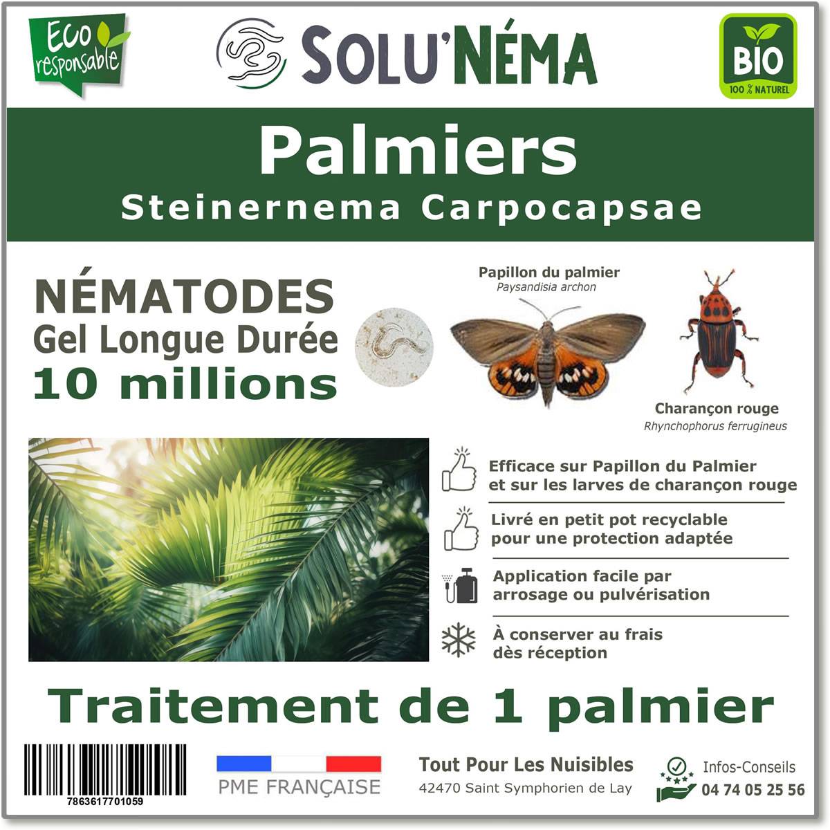 Solunéma - Traitement pour Palmiers à base de nématodes Steinernema Carpocapsae (SC) - 10 millions - 1 Palmier - Image 1