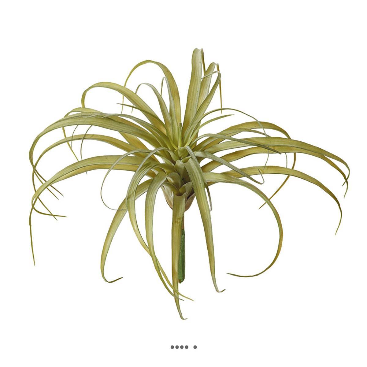 Artificielles - Tillandsia artificiel en piquet H 23 cm D 30 cm vert aloe - Imagen 1