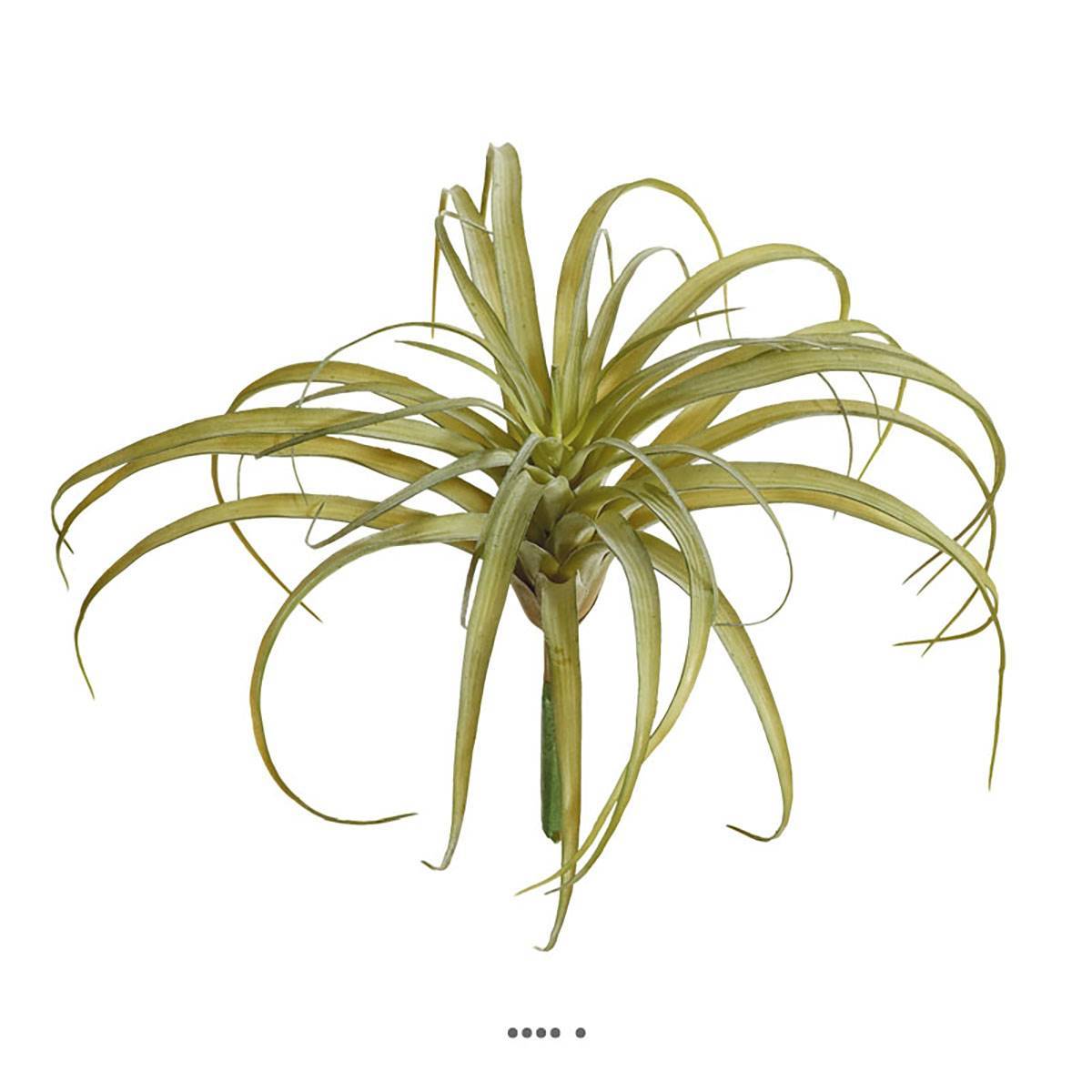 Artificielles - Tillandsia artificiel en piquet H 23 cm D 30 cm vert aloe - Imagen 2