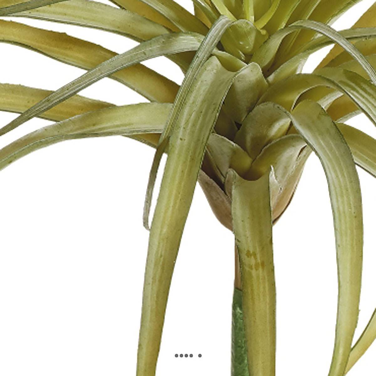 Artificielles - Tillandsia artificiel en piquet H 23 cm D 30 cm vert aloe - Imagen 3