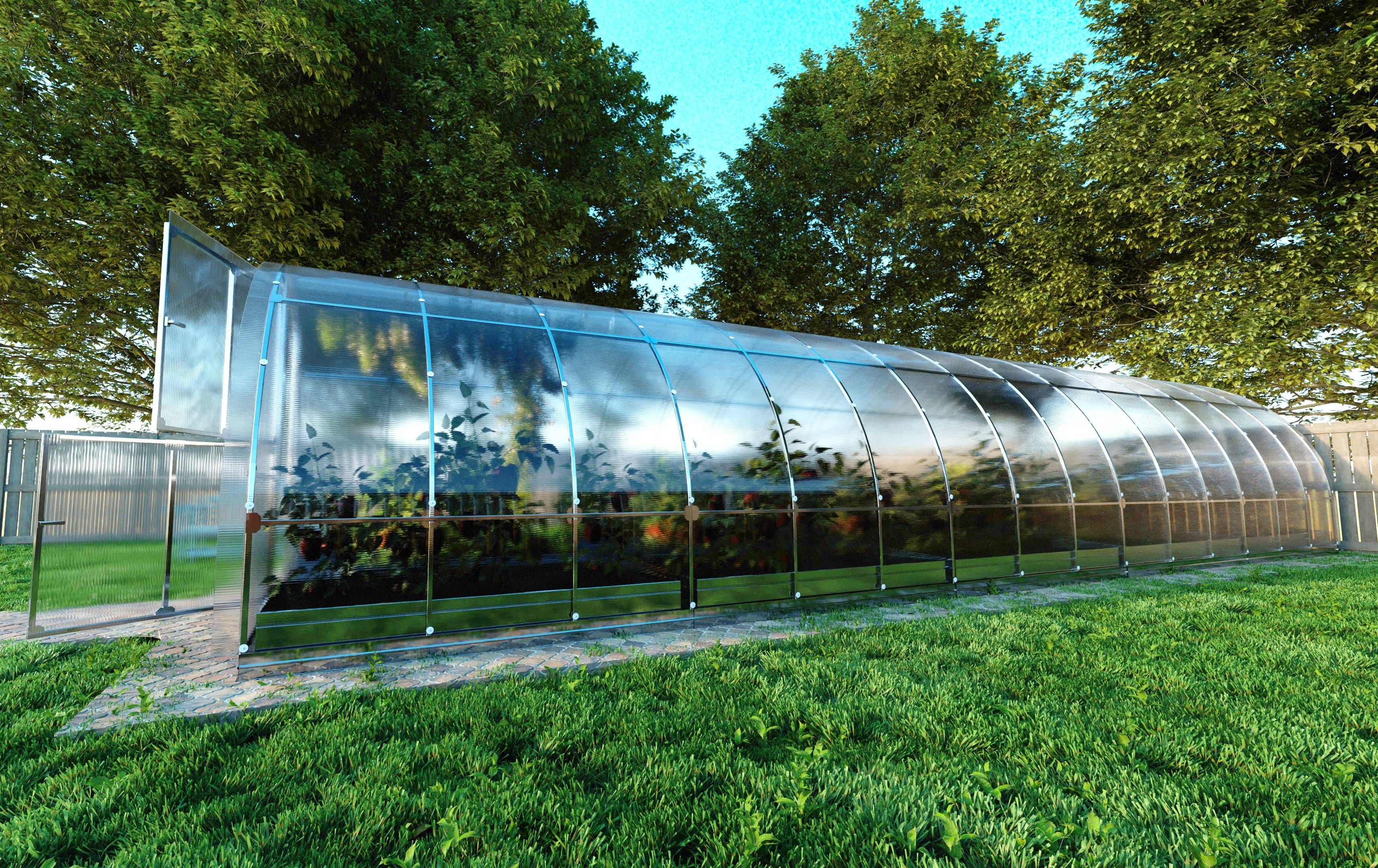 KLASIKA GREENHOUSES - Serre KLASIKA TUBE 3 x 6 m (18 m²), 6 mm avec revêtement en polycarbonate - Image 3