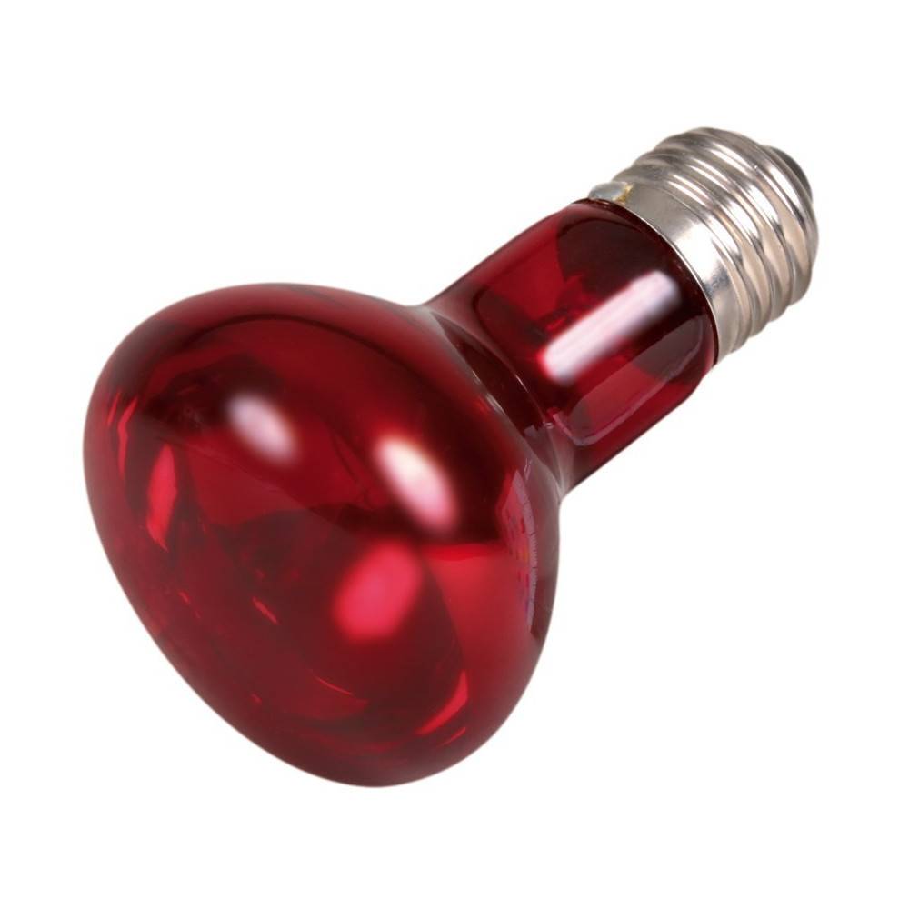 Trixie - Trixie - 50 w lampe infrarouge à chaleur, ø 63 × 100 mm - Imagen 1