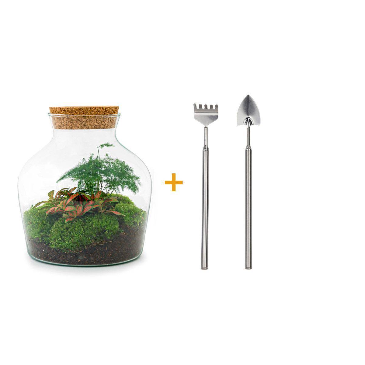 Diy Terrarium - Image 1