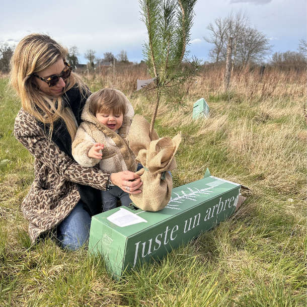 JUSTE UN ARBRE. – Pommier Reine des Reinettes | Idée cadeau pour naissance, mariage, anniversaire – Arbre de taille moyenne, adapté aux vergers… - Image 4