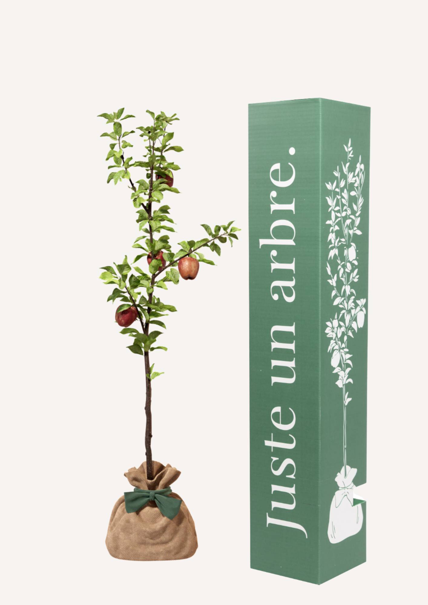 JUSTE UN ARBRE. – Pommier Reine des Reinettes | Idée cadeau pour naissance, mariage, anniversaire – Arbre de taille moyenne, adapté aux vergers… - Image 1