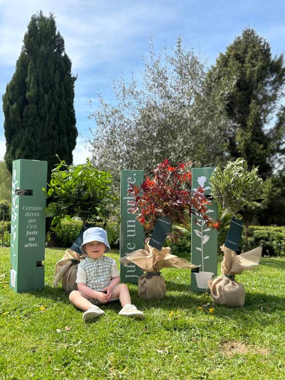 JUSTE UN ARBRE. – Pommier Reine des Reinettes | Idée cadeau pour naissance, mariage, anniversaire – Arbre de taille moyenne, adapté aux vergers… - Image 5