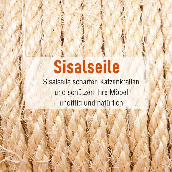 Grand arbre à chat sisal peluche multi activités avec abris 49x49x173 cm gris - ComfortXL Outdoor Living - Image 6
