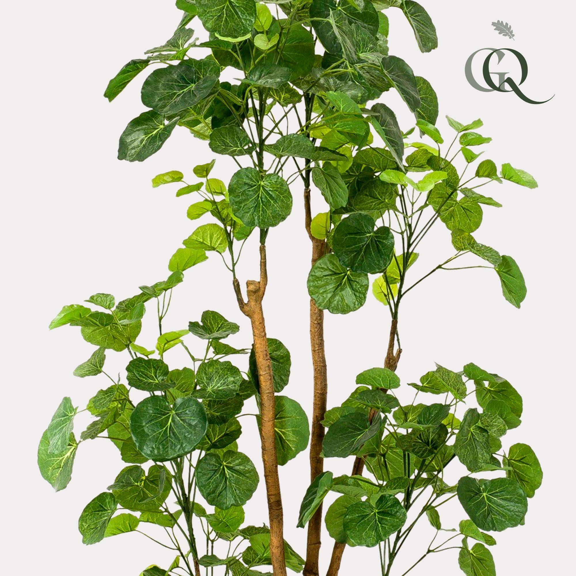 La Green Touch - Polyscias Aralia plante artificielle - h160cm, Ø14cm- La Green Touch - Imagen 2