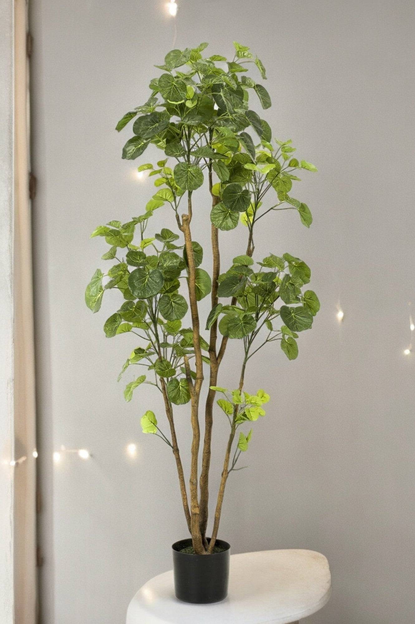 La Green Touch - Polyscias Aralia plante artificielle - h160cm, Ø14cm- La Green Touch - Imagen 1