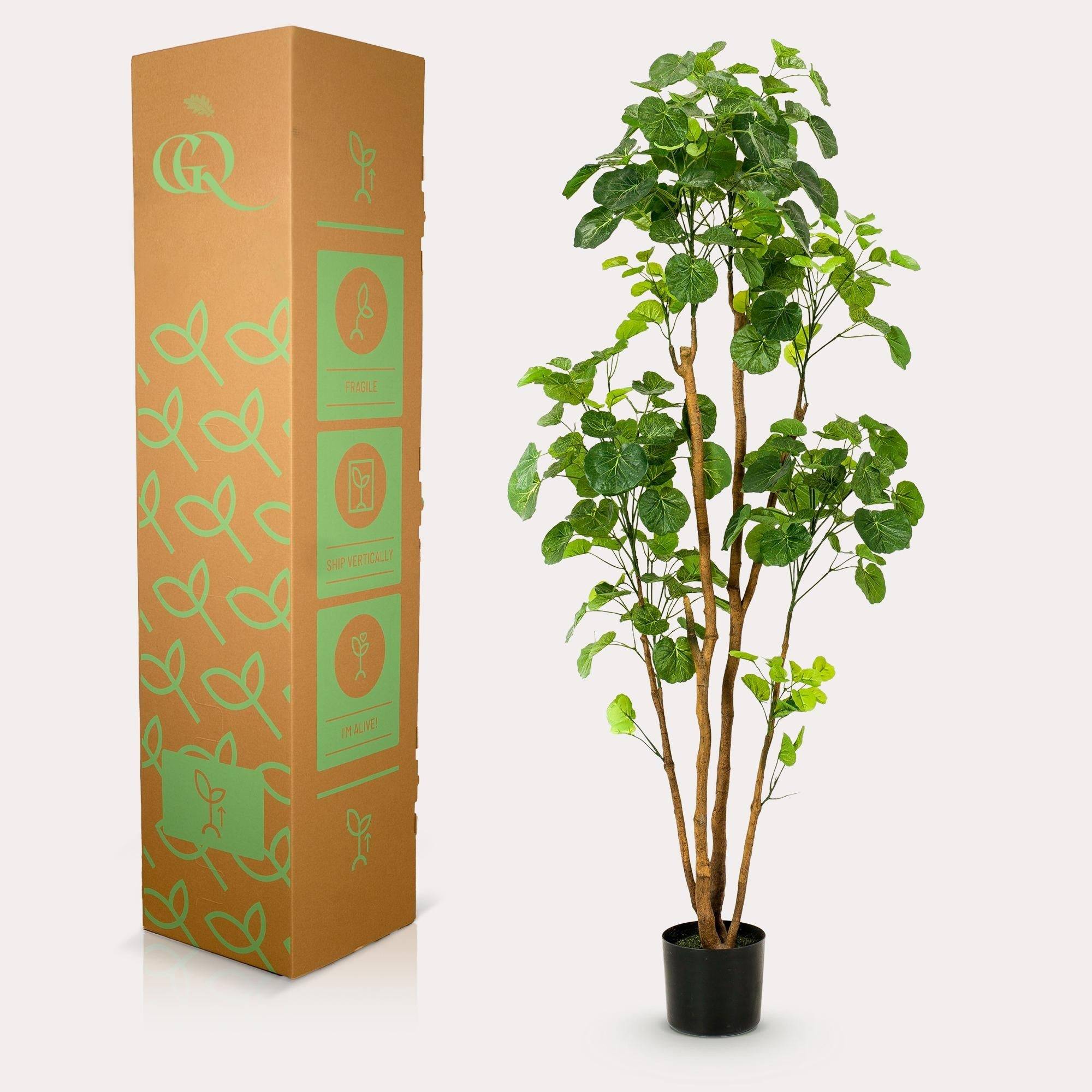 La Green Touch - Polyscias Aralia plante artificielle - h160cm, Ø14cm- La Green Touch - Imagen 3