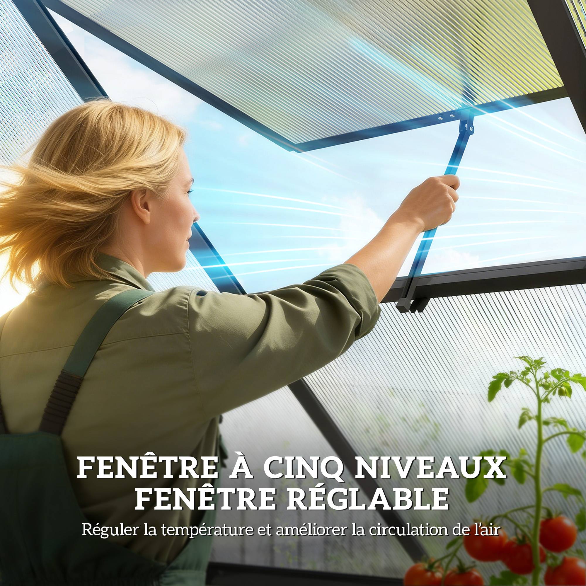 ComfortXL - Serre Jardin Polycarbonate Plantes Porte Battante Fenêtre Réglable 178x168x195cm Transparent - ComfortXL Outdoor Living - Image 10