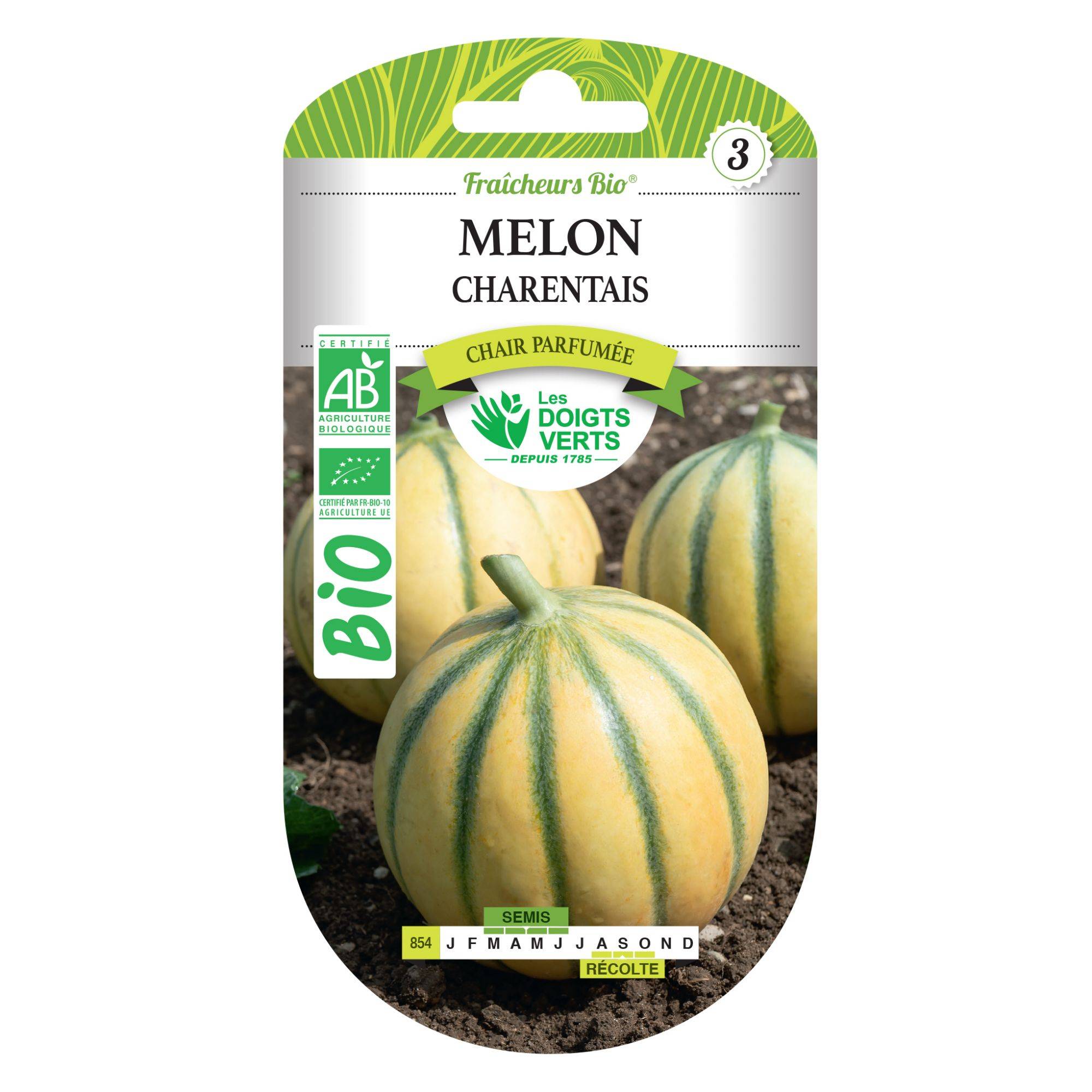 Graines melon charentais BIO Les Doigts Verts - Image 1