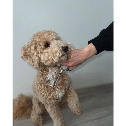 Ciseaux de coupe de cheveux pour chiens Purlov 23186 - Image 10