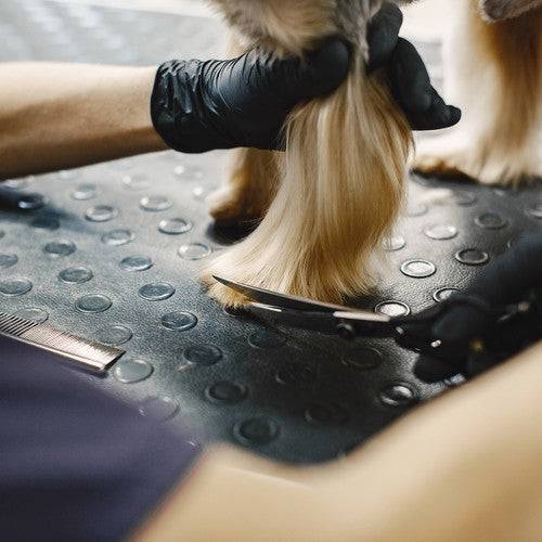 Ciseaux de coupe de cheveux pour chiens Purlov 23186 - Image 8
