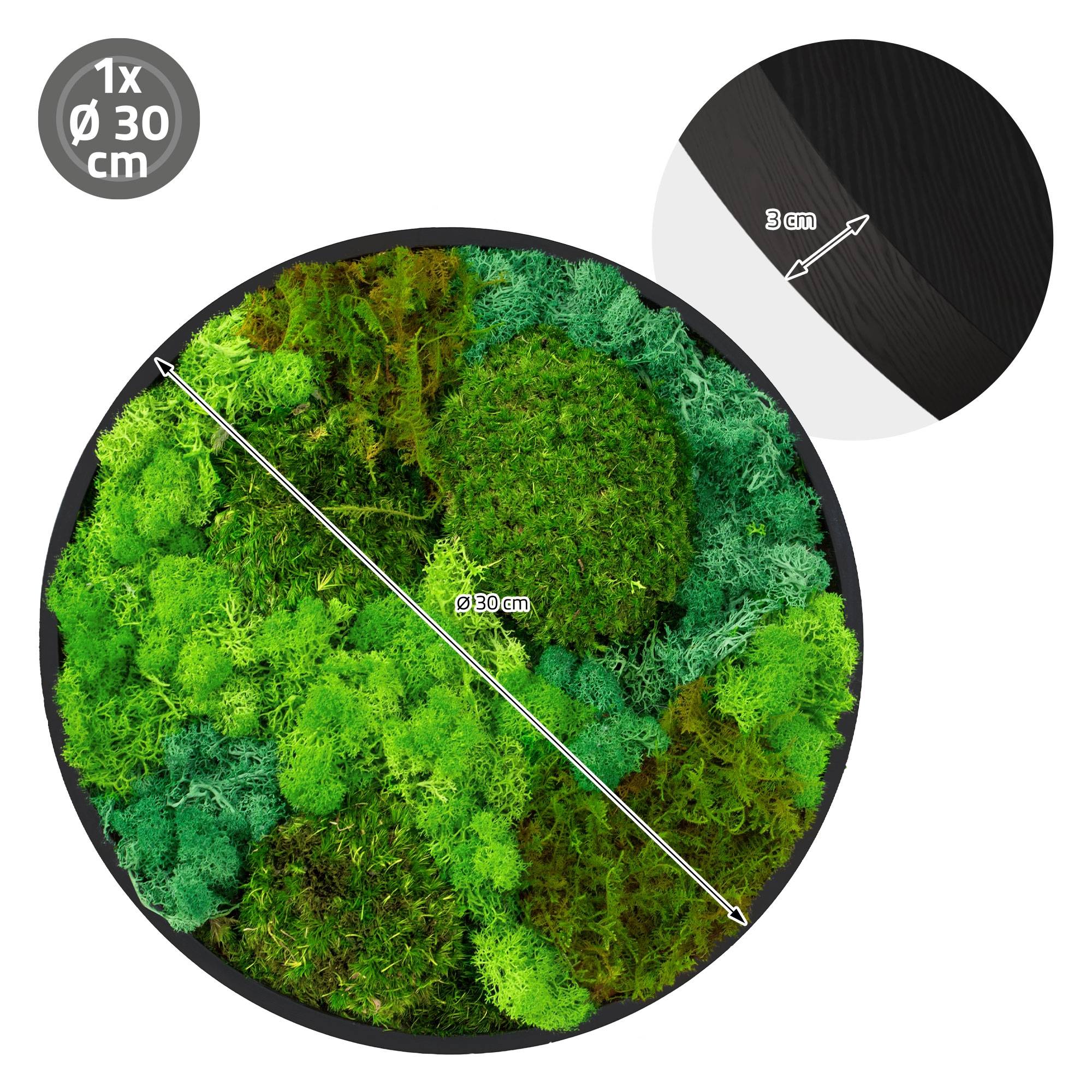 Ecd-Germany - Tableau végétal mural, mélange de mousses stabilisées, cadre en MDF rond Ø 30 cm, vert, décoration d'intérieur effet 3D, sans entretien, pièce unique - Image 8