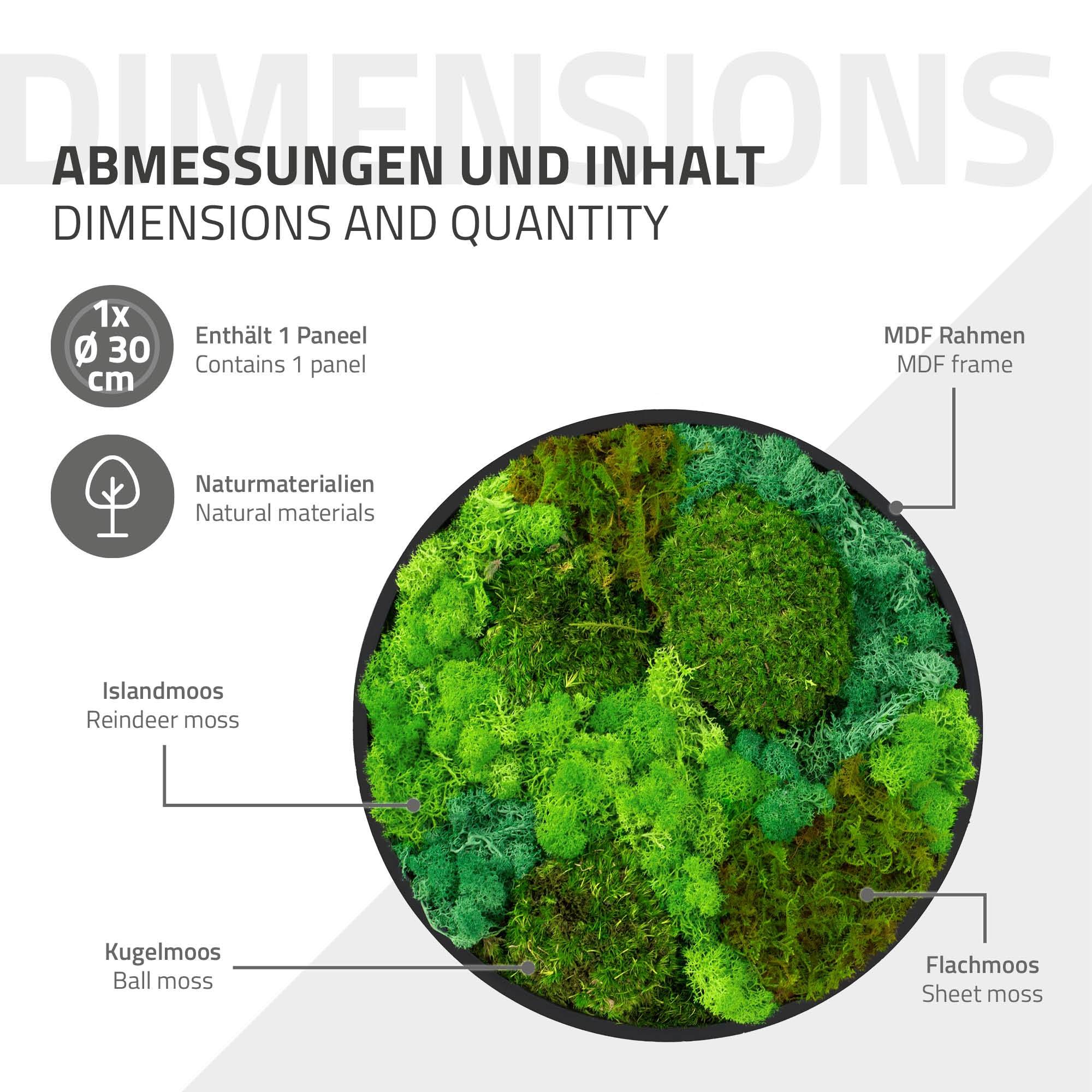 Ecd-Germany - Tableau végétal mural, mélange de mousses stabilisées, cadre en MDF rond Ø 30 cm, vert, décoration d'intérieur effet 3D, sans entretien, pièce unique - Image 7