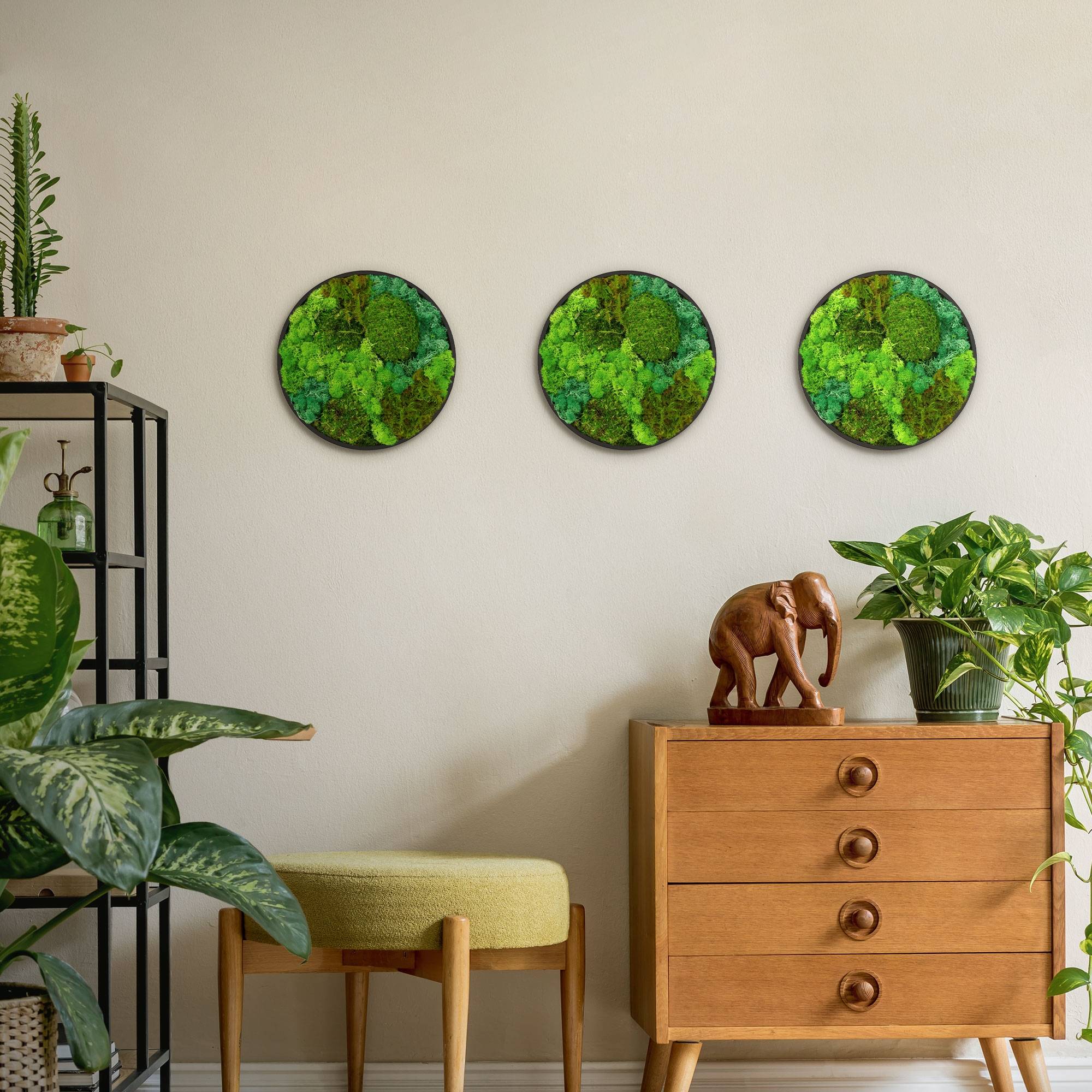 Ecd-Germany - Tableau végétal mural, mélange de mousses stabilisées, cadre en MDF rond Ø 30 cm, vert, décoration d'intérieur effet 3D, sans entretien, pièce unique - Image 9