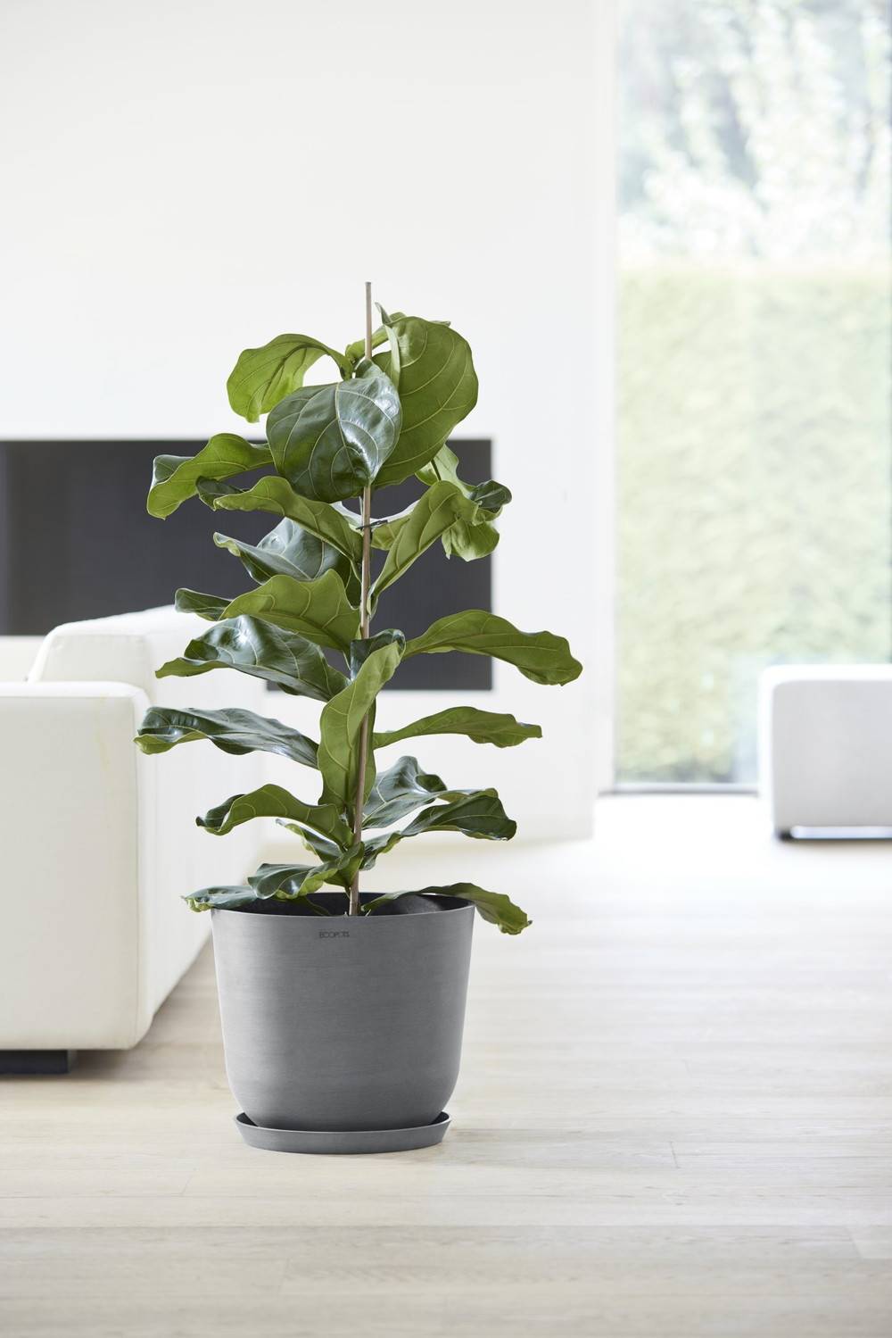 Ecopots - Maceta Redonda Oslo 35 Gris - Ø 35 x H. 30,5 cm - 21,7 L ECOPOTS - Imagen 3