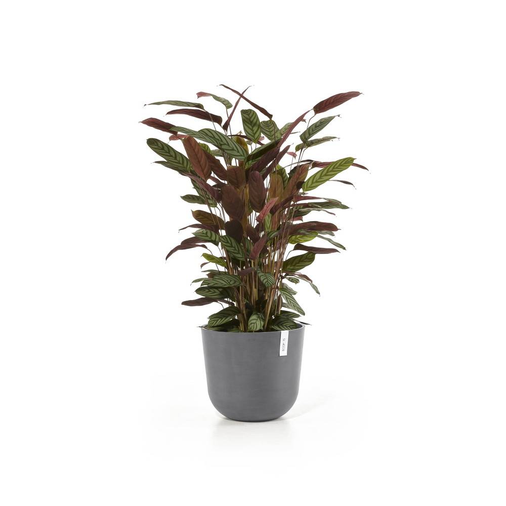 Ecopots - Maceta Redonda Oslo 35 Gris - Ø 35 x H. 30,5 cm - 21,7 L ECOPOTS - Imagen 2