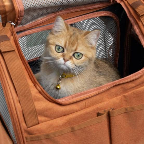 IntiMeg - Sac extensible pour chat GRIS IntiMeg - Image 4