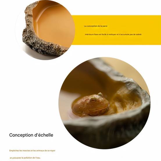 IntiMeg - Bol d'eau pour reptiles IntiMeg - Image 5