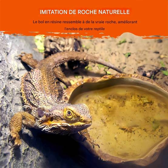 IntiMeg - Bol d'eau pour reptiles IntiMeg - Image 4