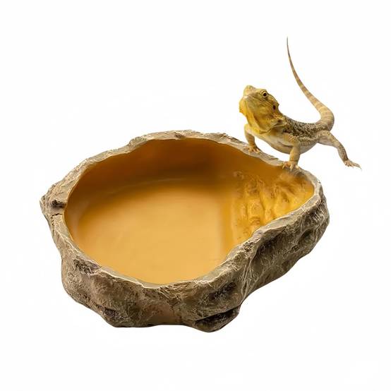 IntiMeg - Bol d'eau pour reptiles IntiMeg - Image 1