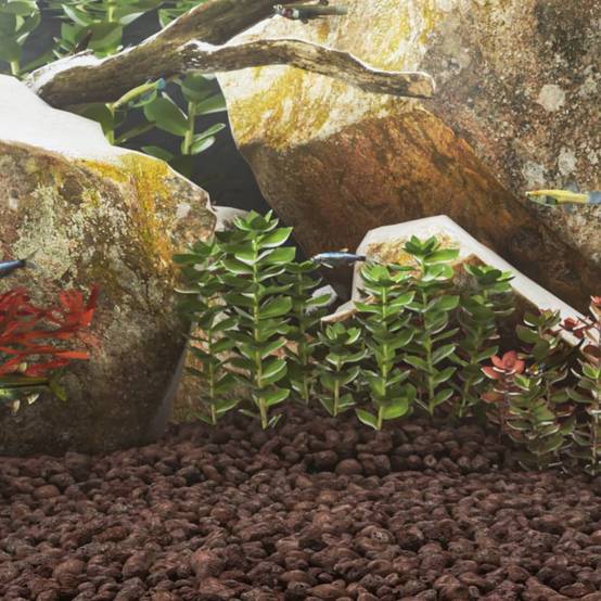 Pierres de Lave Décoratives pour Jardin et Aquarium 10 kg Rouge 3-5 cm - ComfortXL Outdoor Living - Image 1