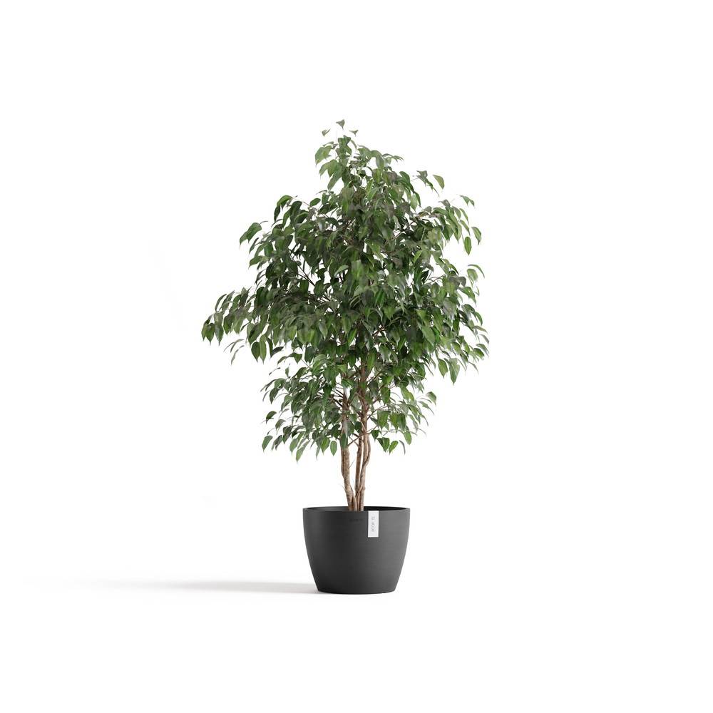 Ecopots - Pot Rond Stockholm 31 Gris Foncé - Ø 31 x H. 23,3 cm - 12,9 L ECOPOTS - Imagen 1