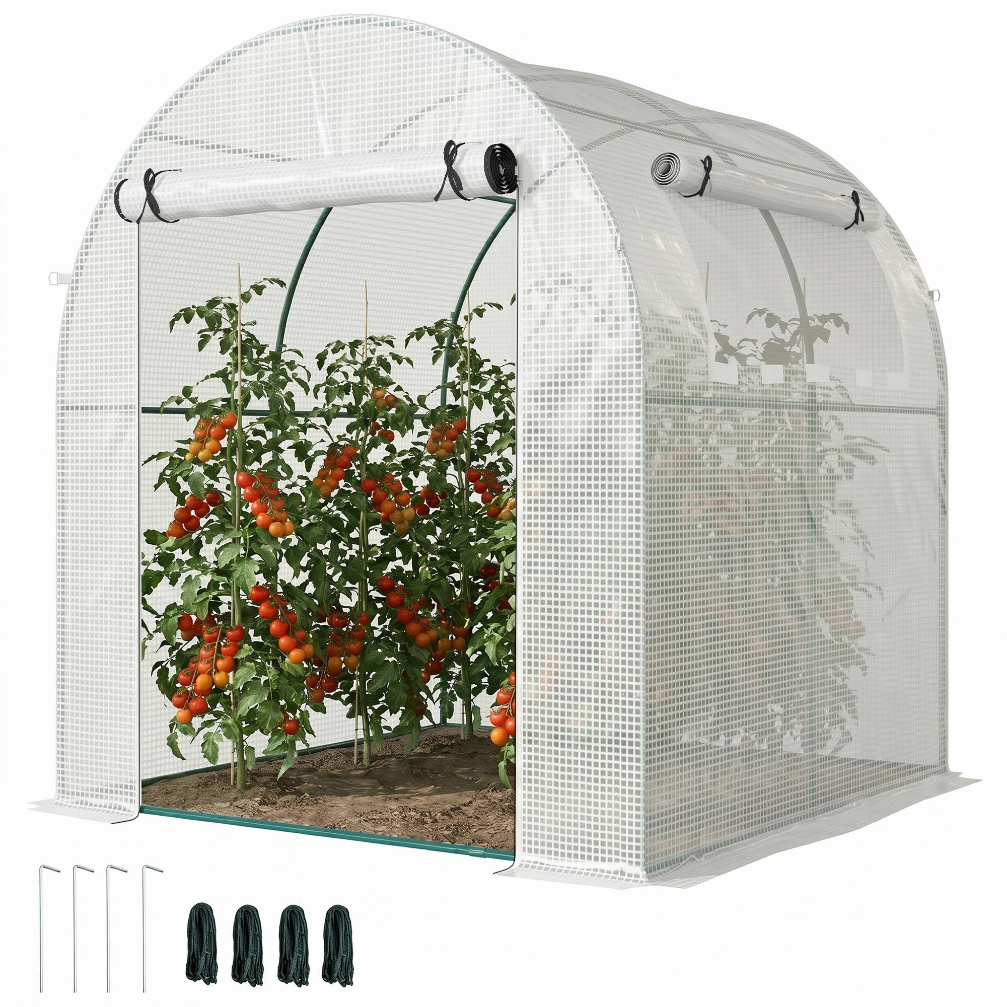 Serre de jardin acier bâche plastique pour semis fleurs fenêtres 180x180x200cm blanc - ComfortXL Outdoor Living